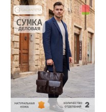 23224 25с23к45 КОРИЧНЕВЫЙ сумка деловая (тоут), нат.кожа